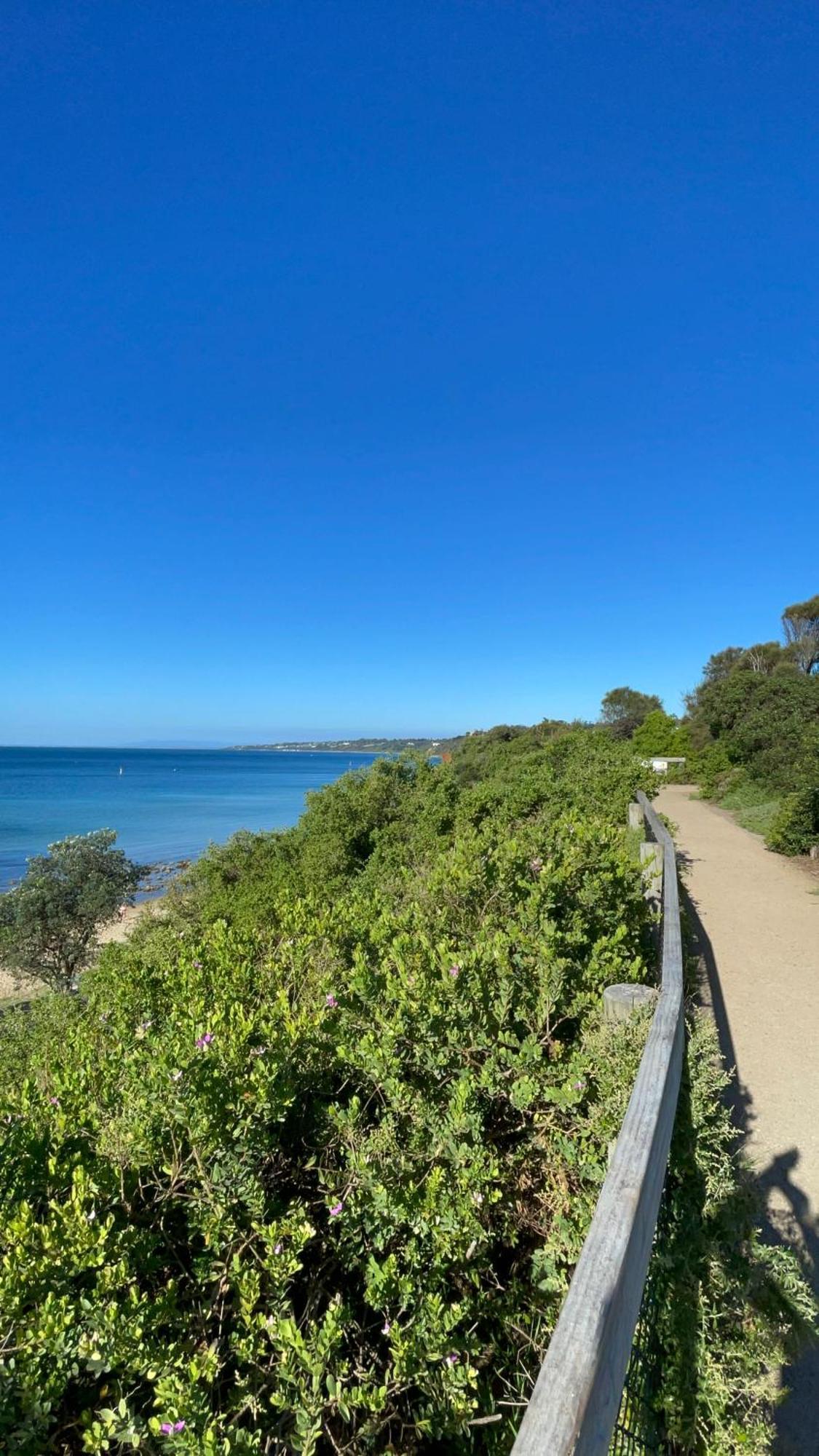 *New* Bayside Beach House Mornington Villa Exterior photo